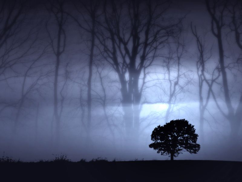 noche en sombras 800x600.jpg